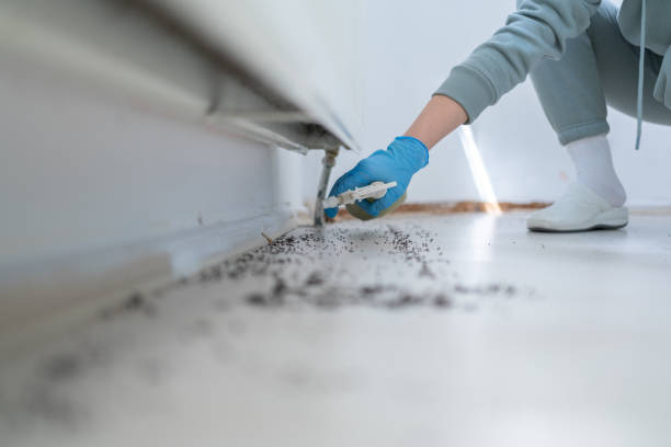 Best Best Pest Control Companies  in Vadnais Heights, MN